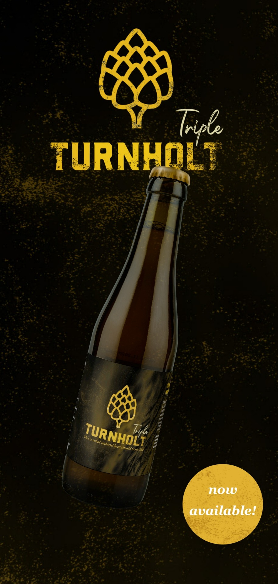 Turnholt Tripel 24*33cl